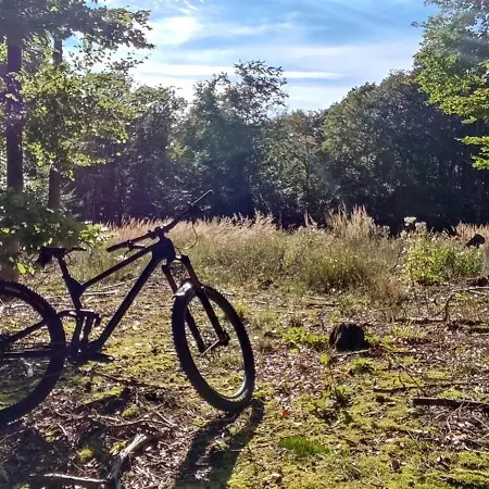 Ferienhaus Moehnetal Allagen Buitenkant foto