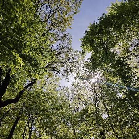 Ferienhaus Moehnetal Allagen Buitenkant foto